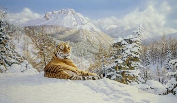  tiger kunst - Taiga Tiger
